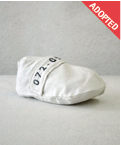072_dir_adopt