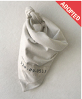 128_dir_adopt